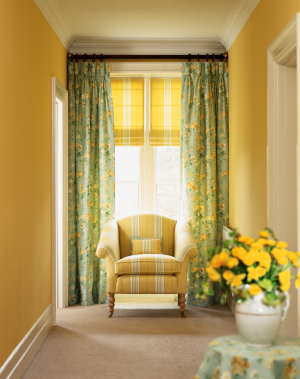 staying fairly neutral with your window shades