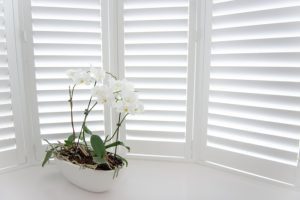 Why You Should Invest in Window Shutters