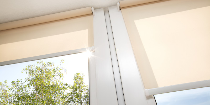 Roller Blinds Are Easy on the Eyes and Easy to Use